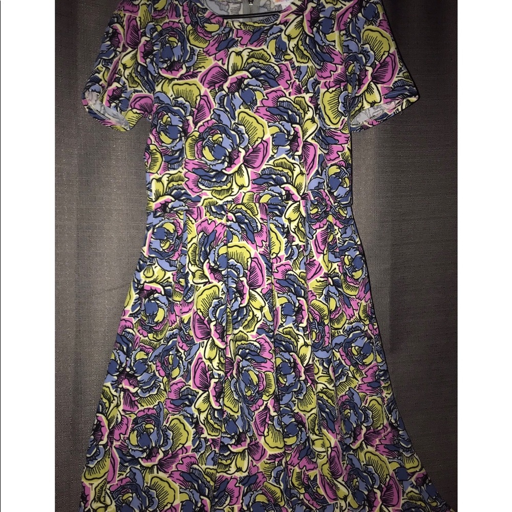 LulaRoe Amelia dress (with pockets!)